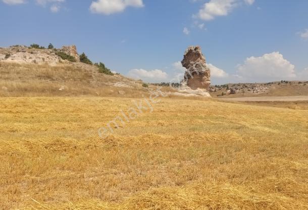 Durmaz Gayrimenkul'den Karaalan'da 6200 M2 Tarla — fotoğraf 9