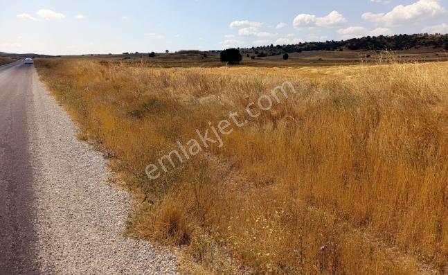 Durmaz Gayrimenkul'den Karaalan'da 6200 M2 Tarla — fotoğraf 10