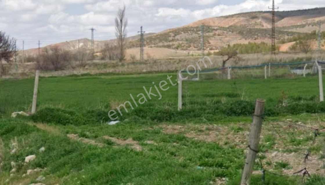 Ra Gayrmenkul Aksaray Acıpınar Köyü Satılık 3375M Arsa