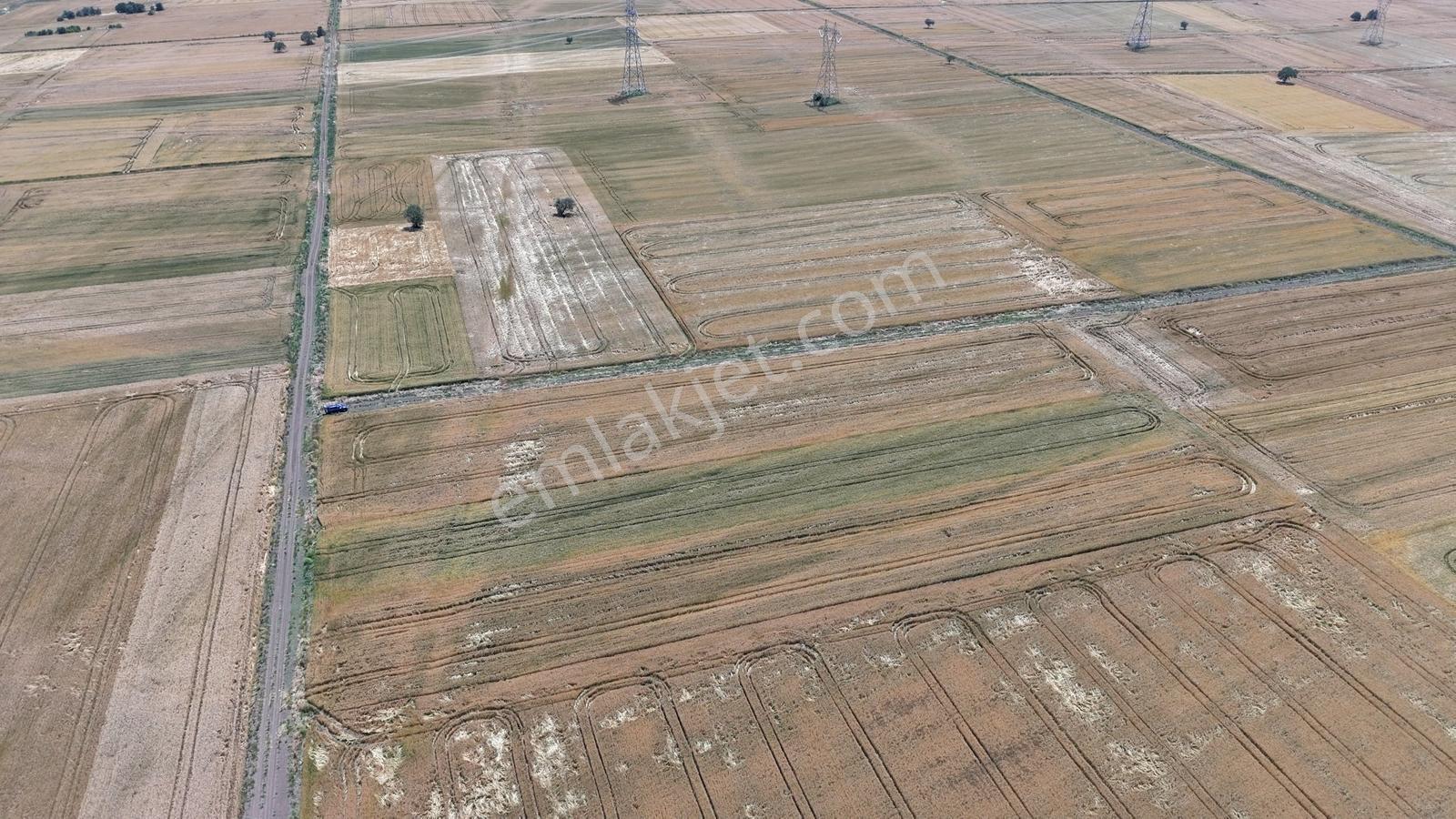 Pınarhisar Sütlüce Köyünde Satılık Tarla — fotoğraf 10