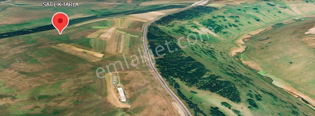 Ardahan Hanak Satılık Tarla — fotoğraf 3