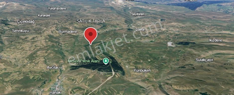 Ardahan Hanak Satılık Tarla — fotoğraf 4