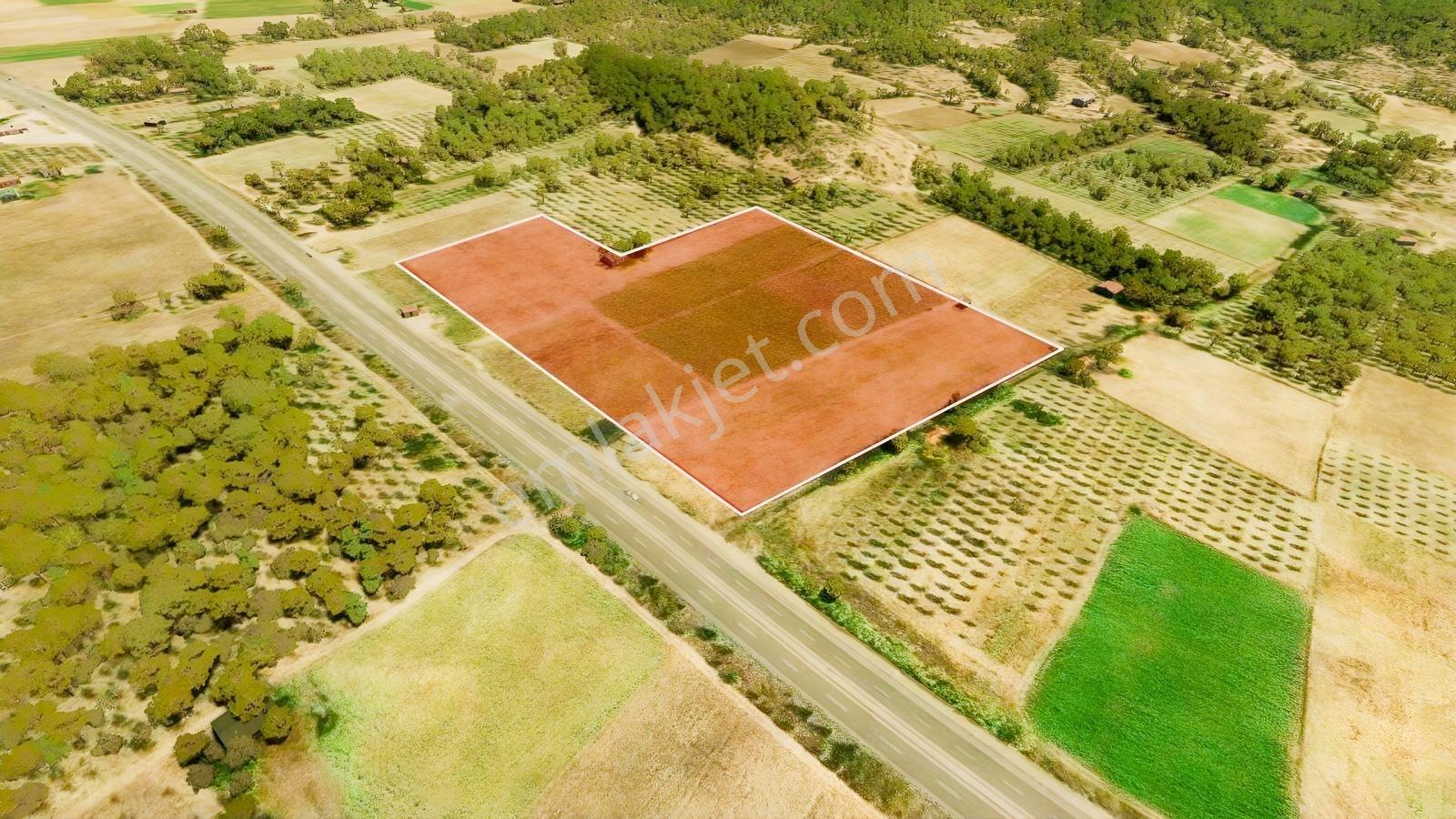 Manisa Kırkağaç Çevre Yolu Üzeri 46.367m2 Arazi — fotoğraf 7