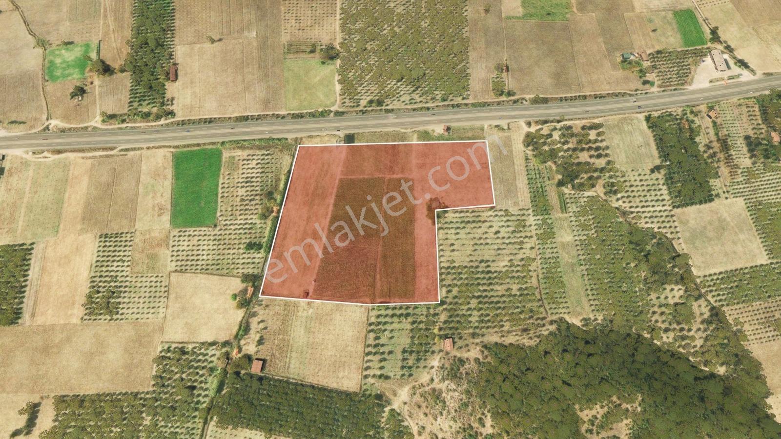 Manisa Kırkağaç Çevre Yolu Üzeri 46.367m2 Arazi — fotoğraf 9