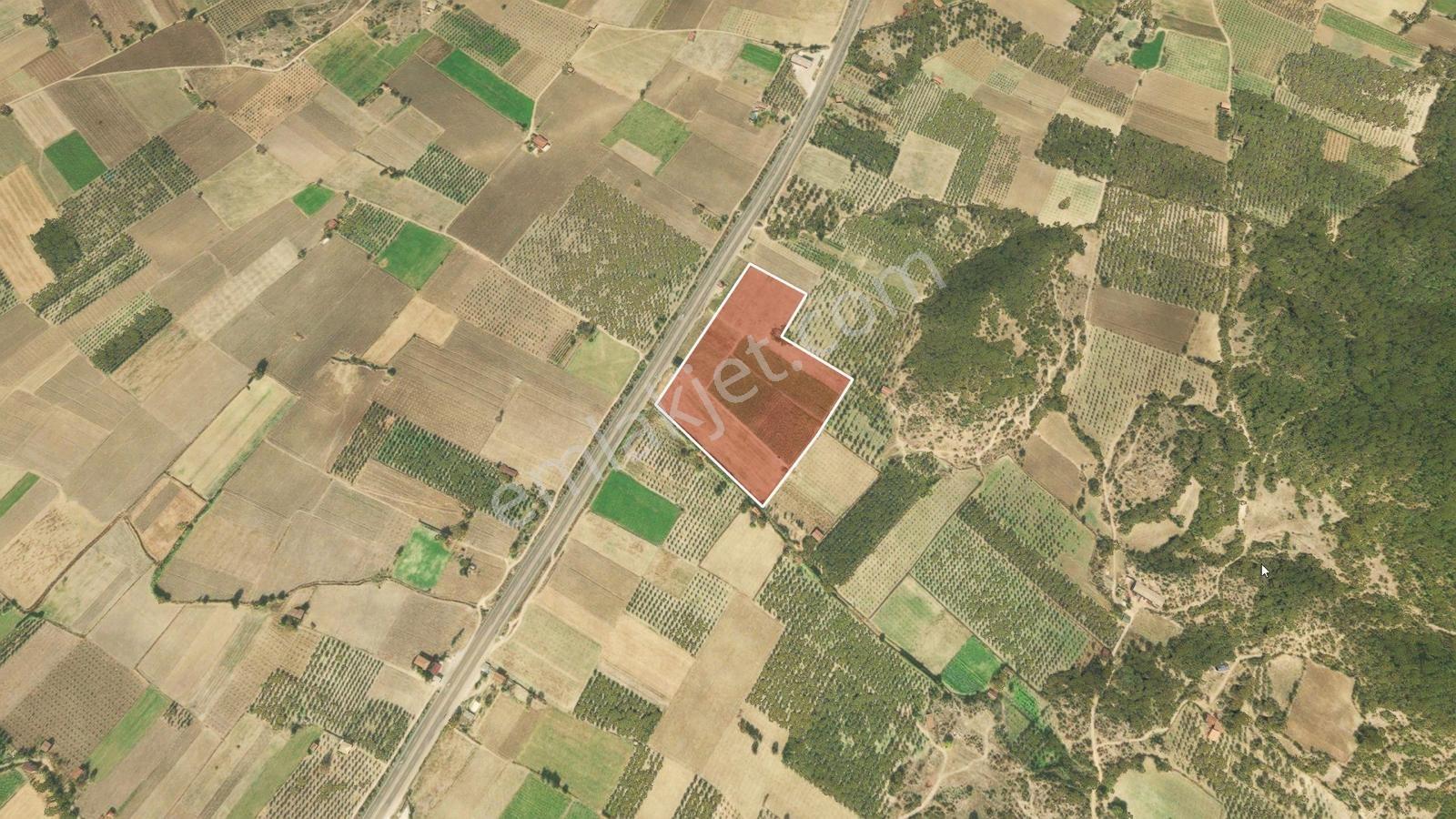 Manisa Kırkağaç Çevre Yolu Üzeri 46.367m2 Arazi — fotoğraf 25