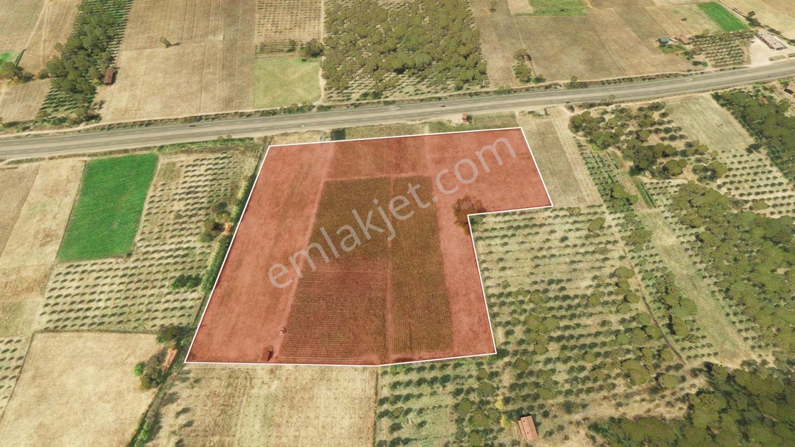 Manisa Kırkağaç Çevre Yolu Üzeri 46.367m2 Arazi — fotoğraf 26