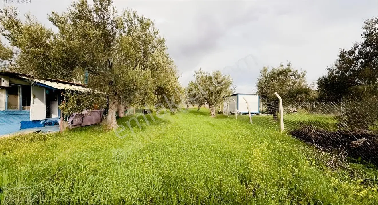 Şakran Incırlık Mevkı Yatırımlık Satılık Imarlı Arsa