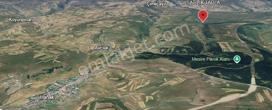 Ardahan Satılık Tarla Hanak İlçesi — fotoğraf 4