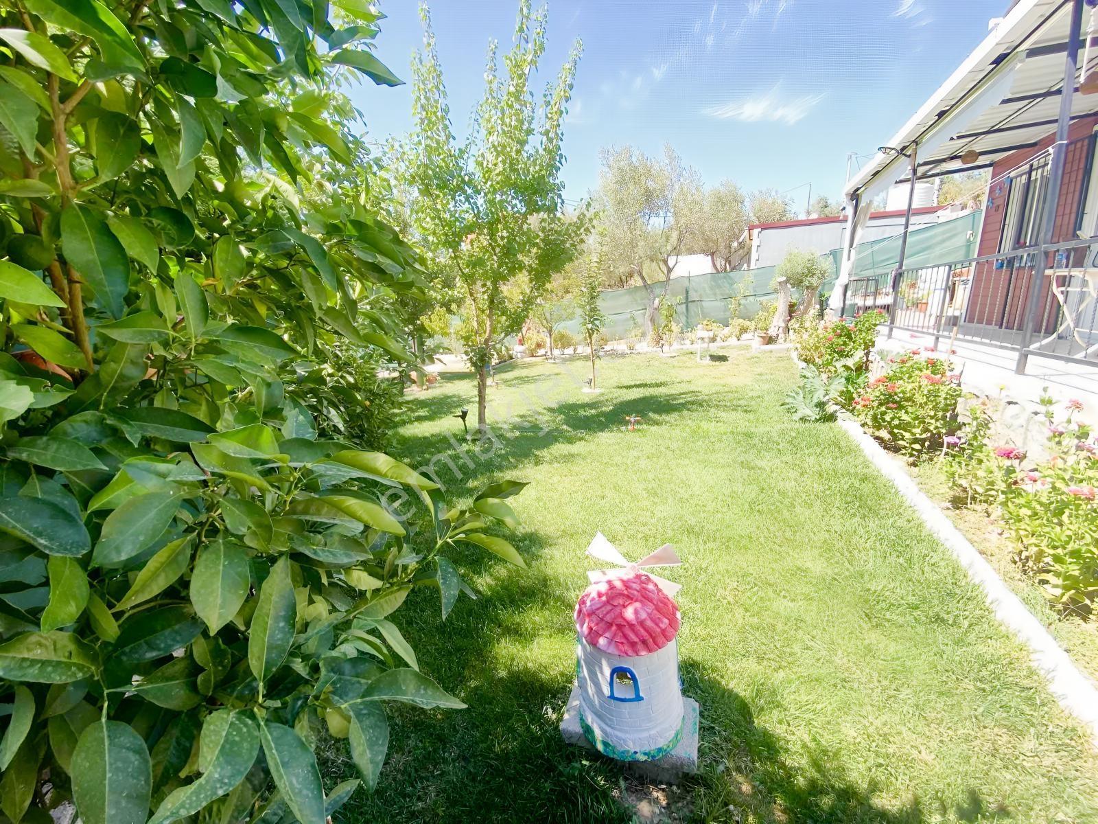 Kemalpaşa Satılık 310 M2 Tarla Ve Evi — fotoğraf 4