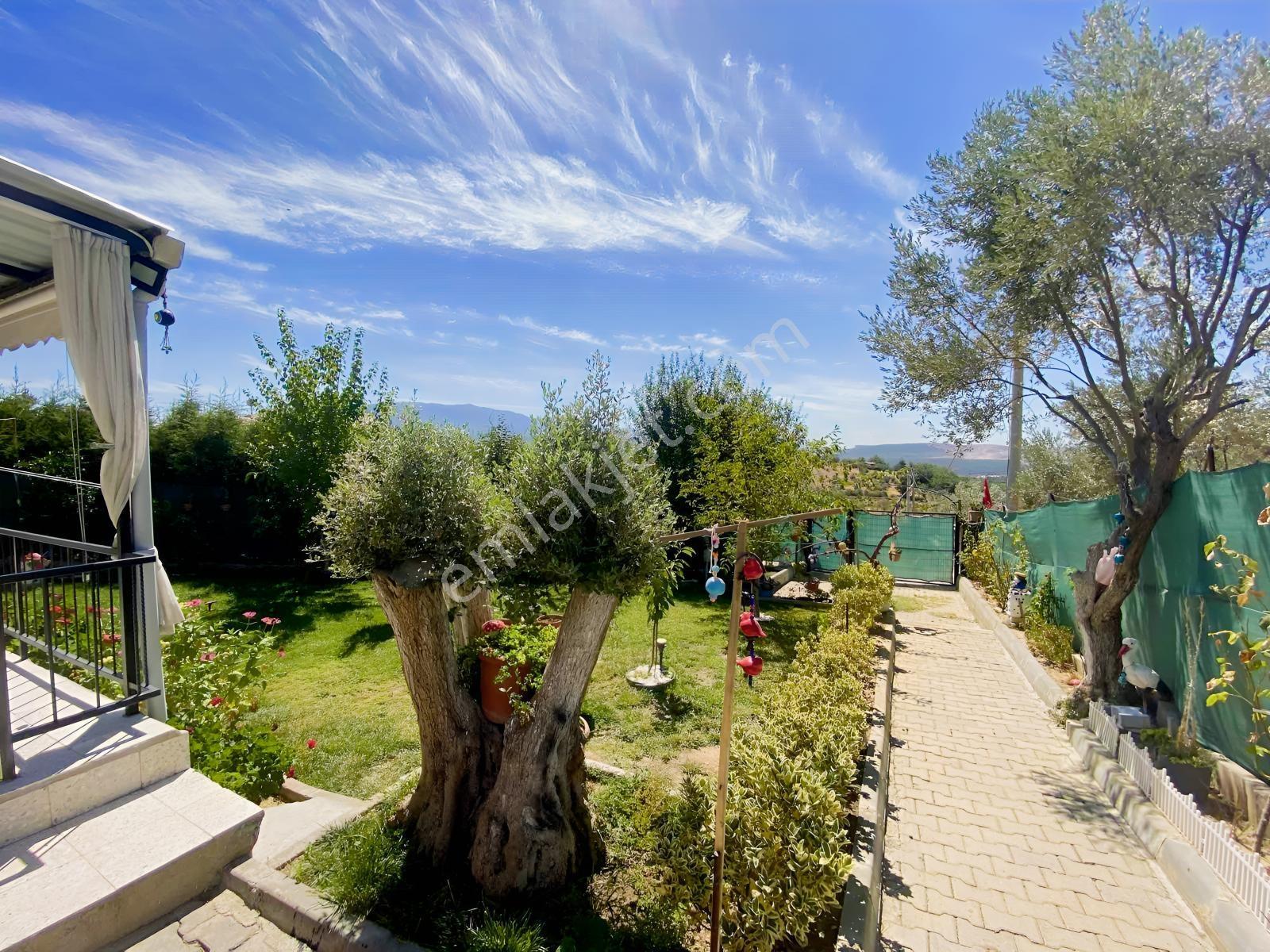 Kemalpaşa Satılık 310 M2 Tarla Ve Evi — fotoğraf 9
