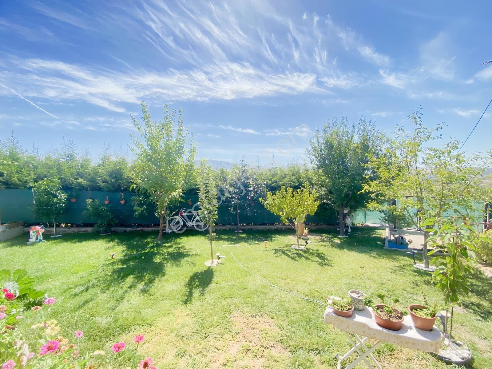 Kemalpaşa Satılık 310 M2 Tarla Ve Evi — fotoğraf 10