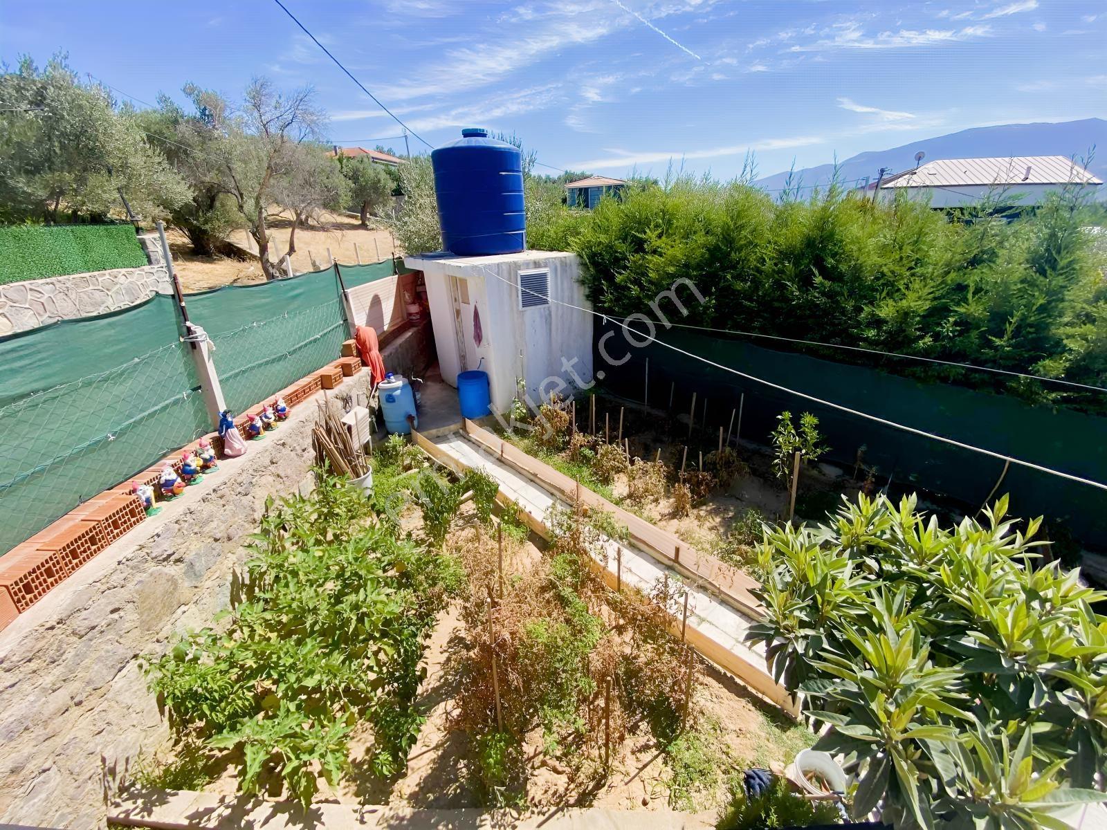 Kemalpaşa Satılık 310 M2 Tarla Ve Evi — fotoğraf 12