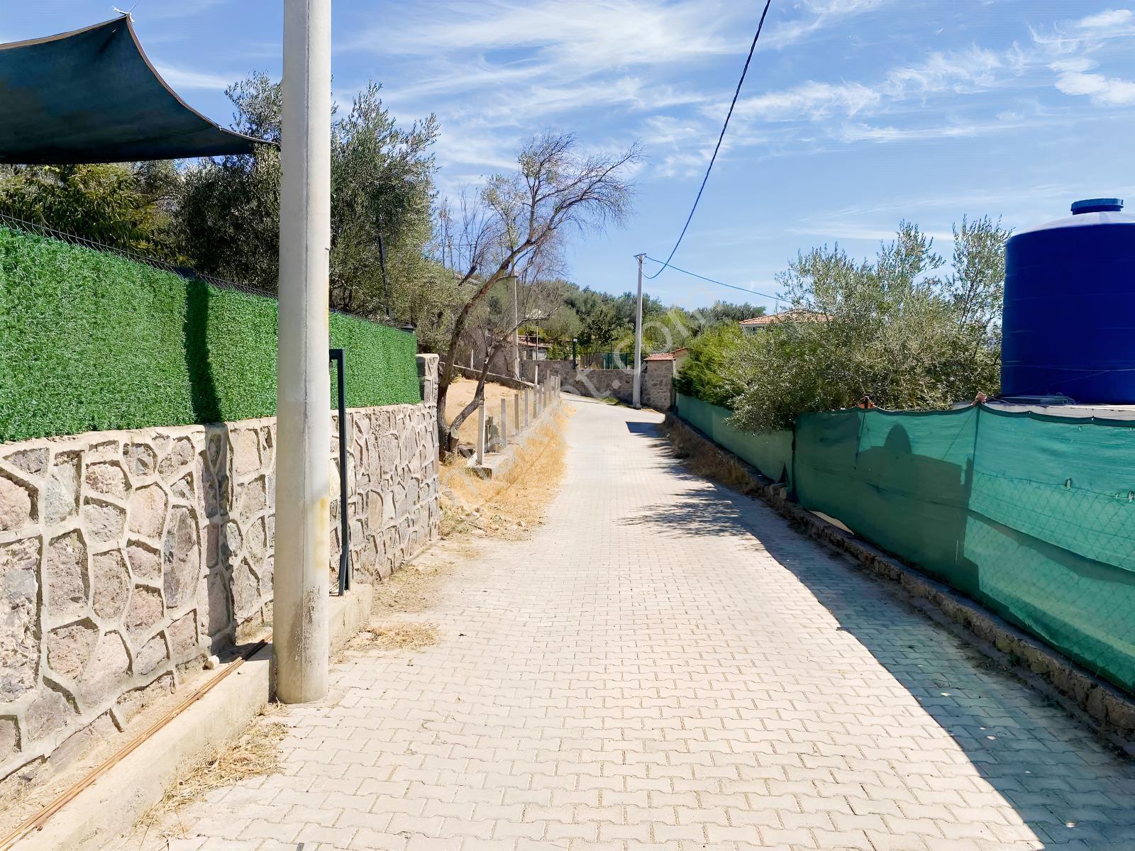 Kemalpaşa Satılık 310 M2 Tarla Ve Evi — fotoğraf 31