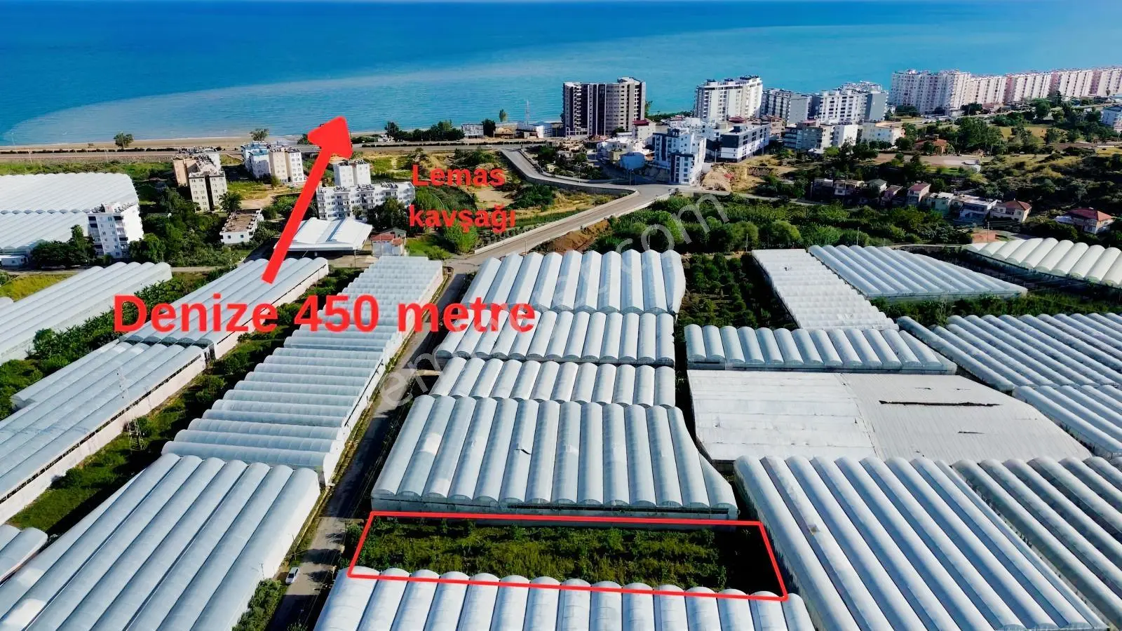 Lemas'Ta Denize 400 Metre 1.741M2 Avokado Bahçesi !!