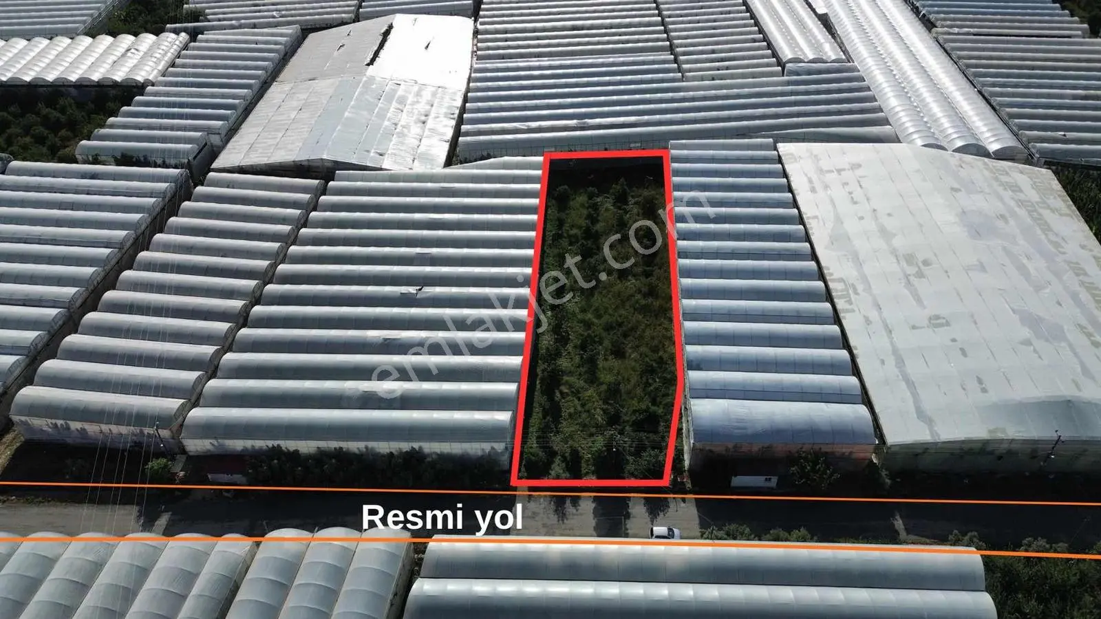 Lemas'ta Denize 400 Metre 1.741m2 Avokado Bahçesi !! — fotoğraf 3