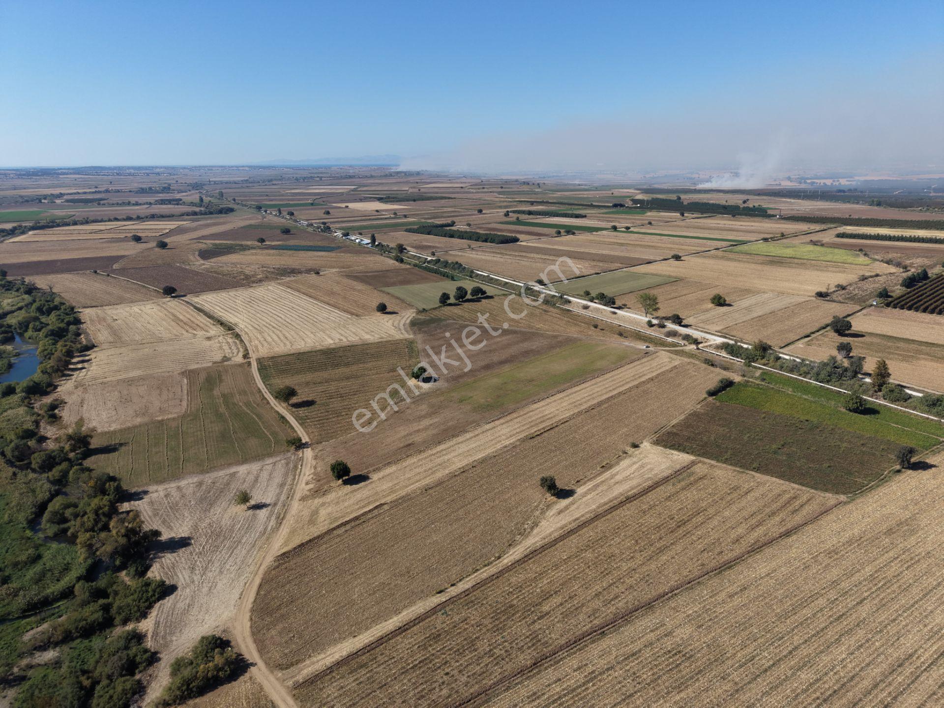 Çanakkale Ezine Pınarbaşı'nda Geniş Yüzölçümlü Yatırımlık Tarla — fotoğraf 14