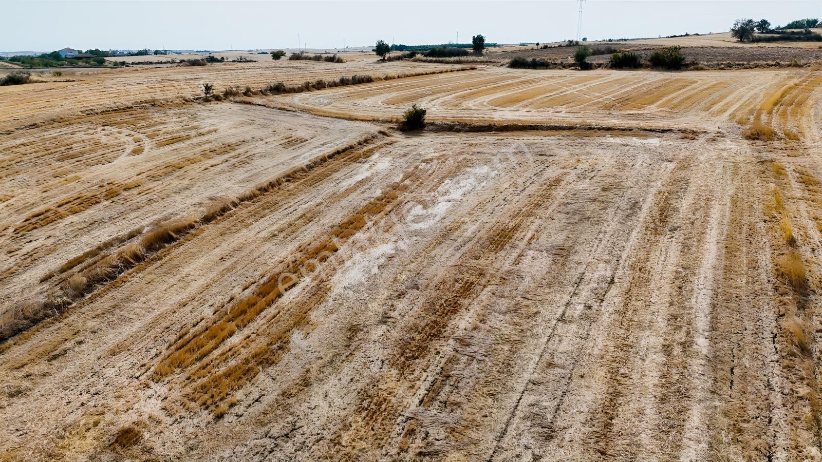 Edirne Havsa Yolageldi — fotoğraf 27