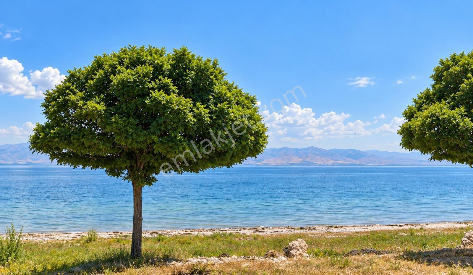 Göl Kenarı Satılık Yatırımlık 1.000m2 Arsa Hissesi — fotoğraf 2