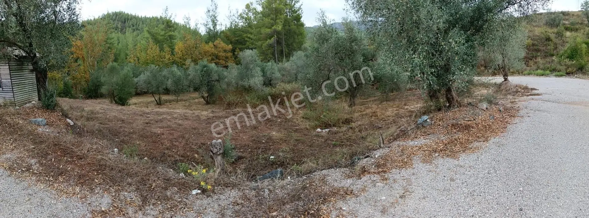 Dalaman Karacaağaç Mahallesi 465 M² Satılık Tarla — fotoğraf 2