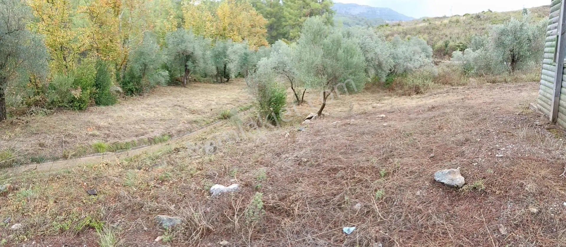 Dalaman Karacaağaç Mahallesi 465 M² Satılık Tarla — fotoğraf 3