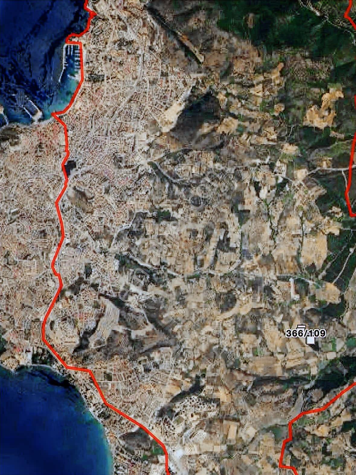 Değirmenderede Satılık 12.400 M² Bağ, Zeytin Ve Ceviz Bahçesi — fotoğraf 9
