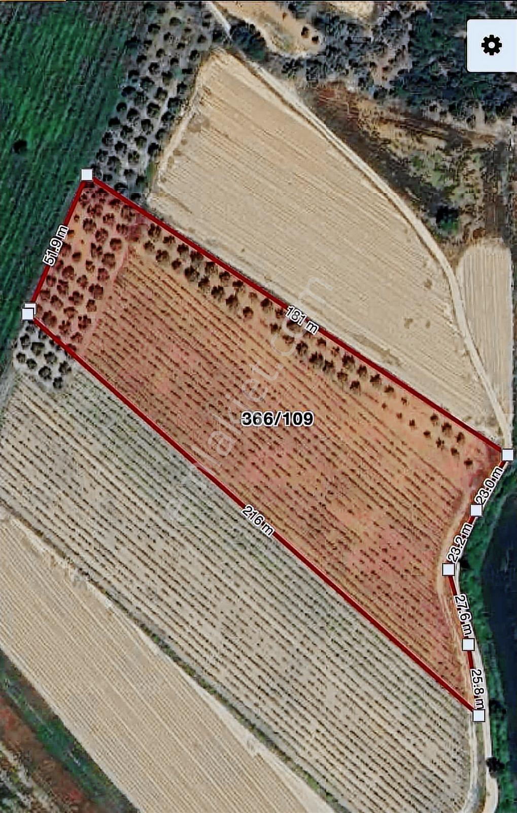 Değirmenderede Satılık 12.400 M² Bağ, Zeytin Ve Ceviz Bahçesi — fotoğraf 11