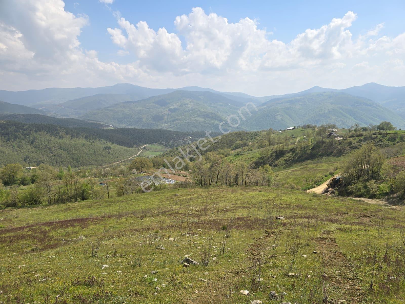 K2 Pera Bursa Osmangazi Bağlı Mevkii Satılık 4.792 M² Tarla