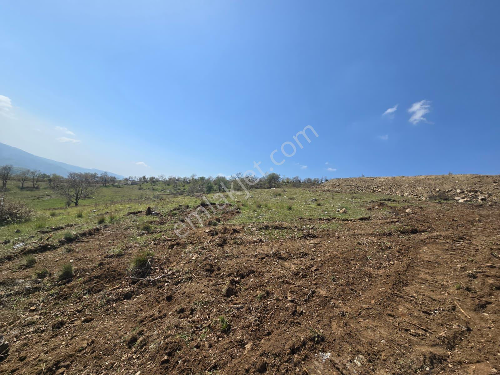 K2 Pera Bursa Osmangazi Bağlı Mevkii Satılık 4.792 M² Tarla — fotoğraf 2