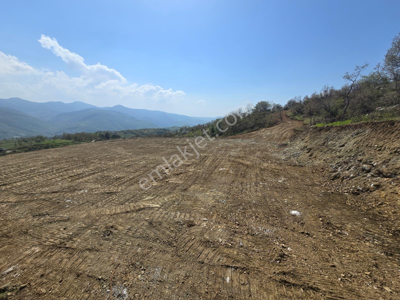 K2 Pera Bursa Osmangazi Bağlı Mevkii Satılık 4.792 M² Tarla — fotoğraf 3