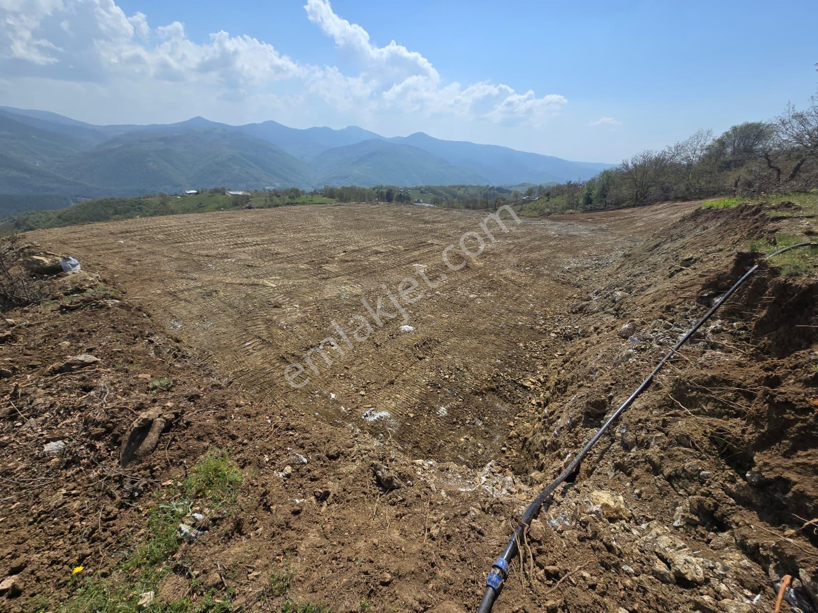 K2 Pera Bursa Osmangazi Bağlı Mevkii Satılık 4.792 M² Tarla — fotoğraf 4