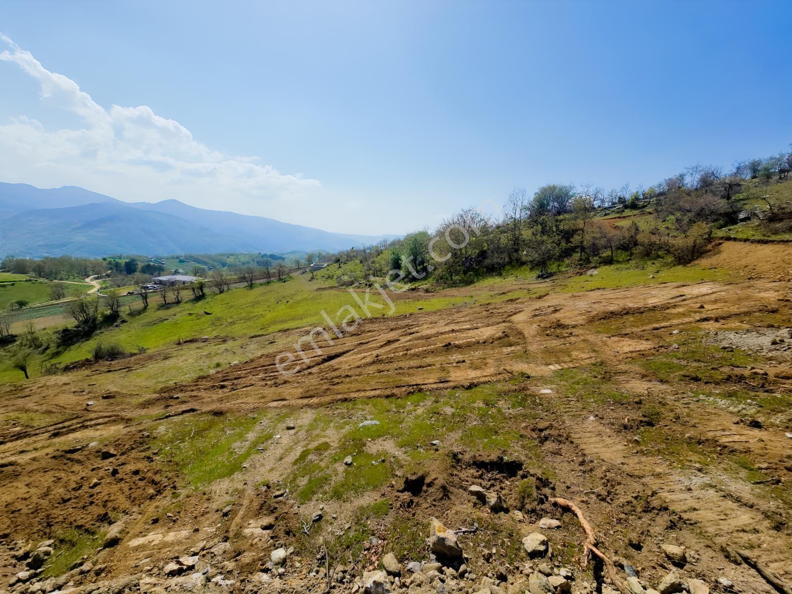 K2 Pera Bursa Osmangazi Bağlı Mevkii Satılık 4.792 M² Tarla — fotoğraf 5