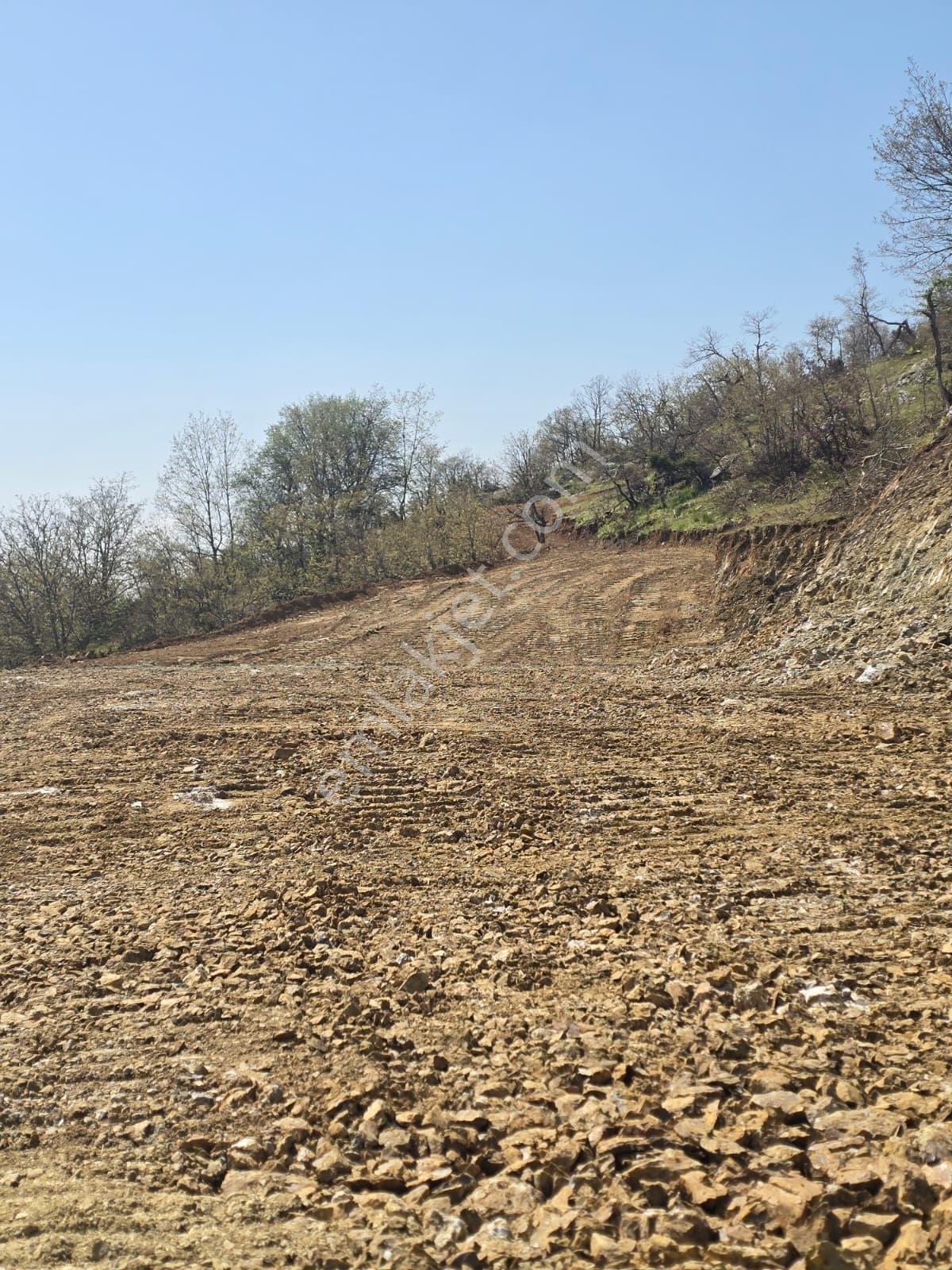 K2 Pera Bursa Osmangazi Bağlı Mevkii Satılık 4.792 M² Tarla — fotoğraf 6