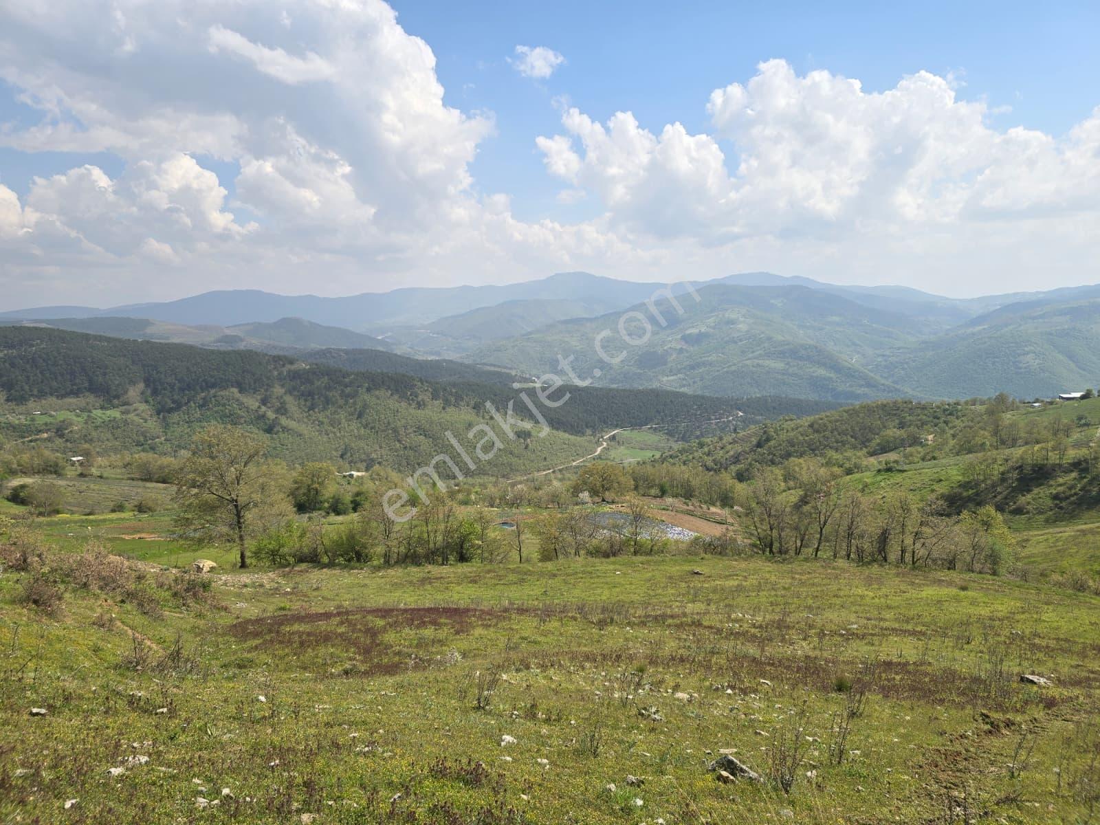 K2 Pera Bursa Osmangazi Bağlı Mevkii Satılık 4.792 M² Tarla — fotoğraf 7