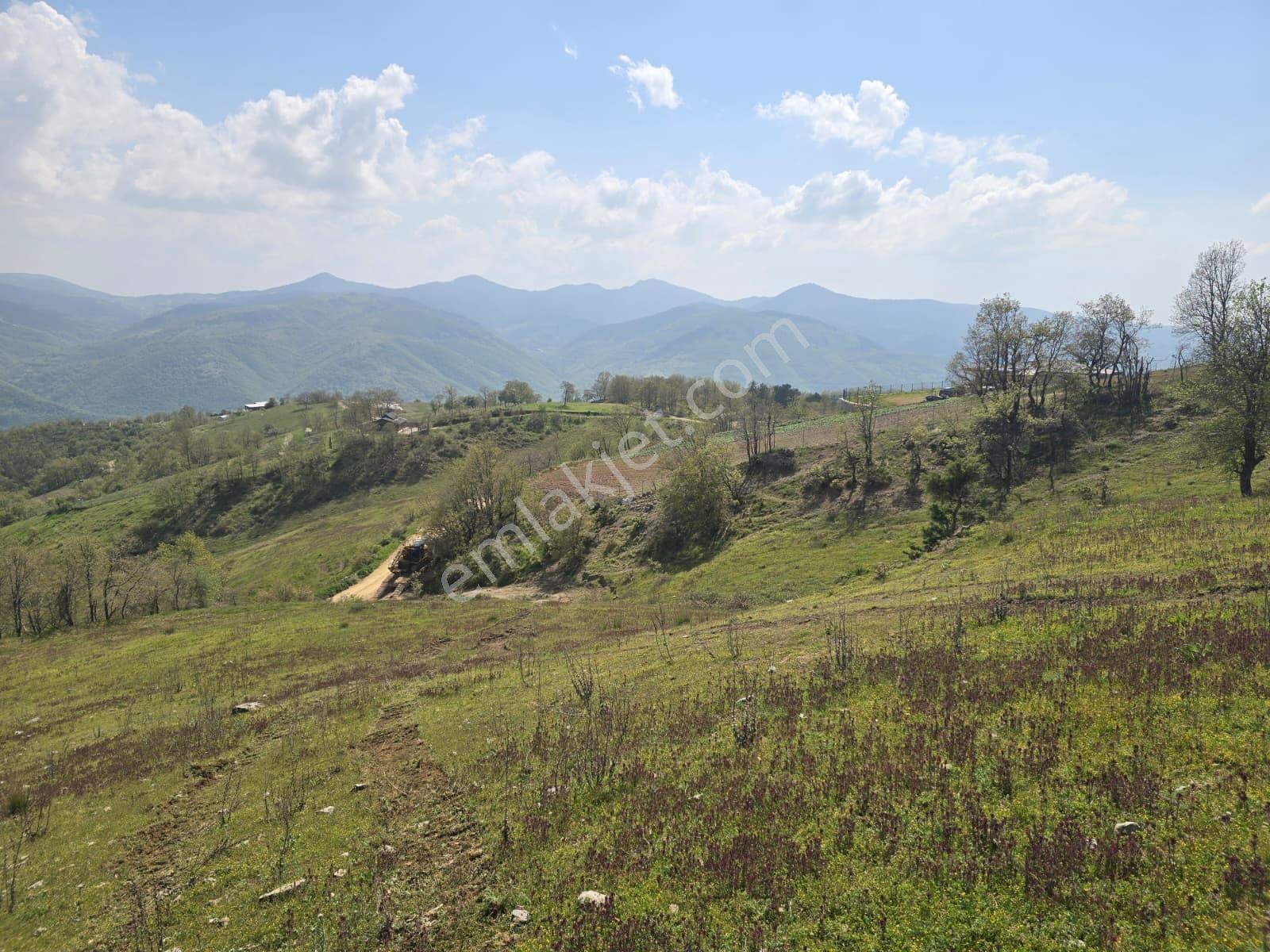 K2 Pera Bursa Osmangazi Bağlı Mevkii Satılık 4.792 M² Tarla — fotoğraf 8