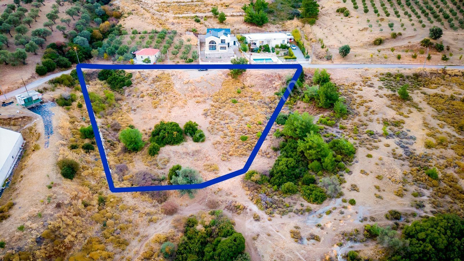 Foça Kocamehmetler'De Müstakil Tapulu Yola Cepheli Satılık Tarla