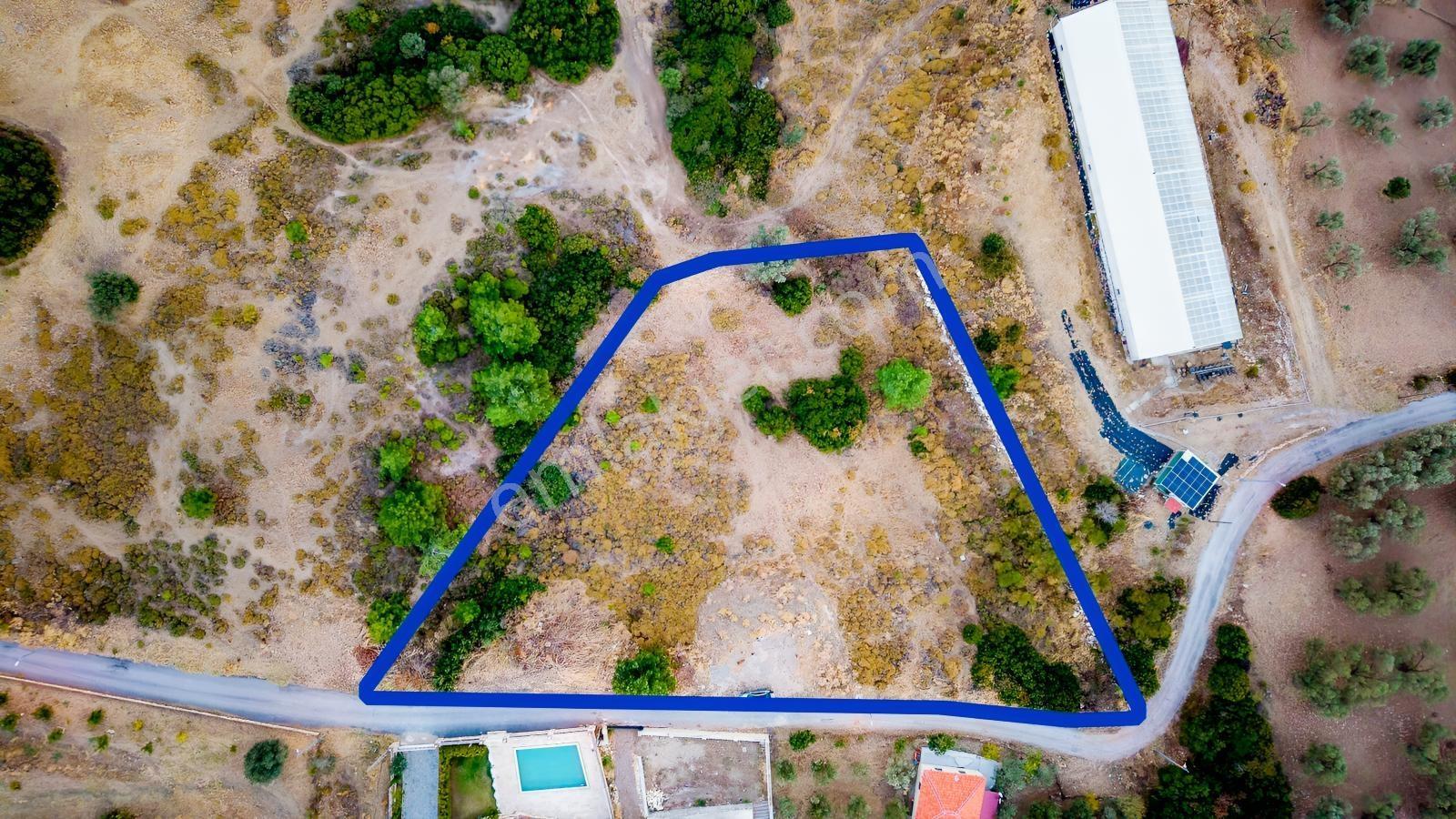 Foça Kocamehmetler'de Müstakil Tapulu Yola Cepheli Satılık Tarla — fotoğraf 3
