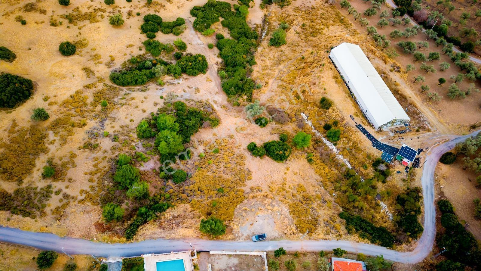 Foça Kocamehmetler'de Müstakil Tapulu Yola Cepheli Satılık Tarla — fotoğraf 6