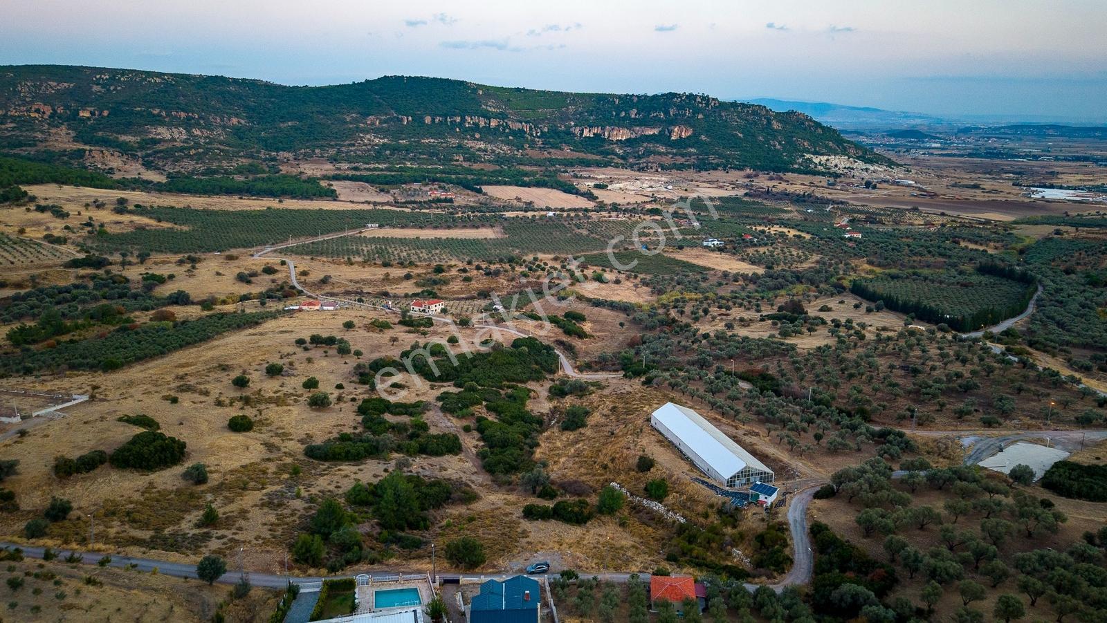 Foça Kocamehmetler'de Müstakil Tapulu Yola Cepheli Satılık Tarla — fotoğraf 8