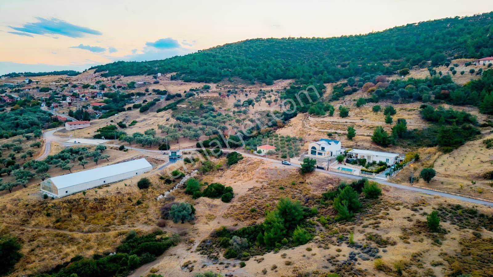 Foça Kocamehmetler'de Müstakil Tapulu Yola Cepheli Satılık Tarla — fotoğraf 18