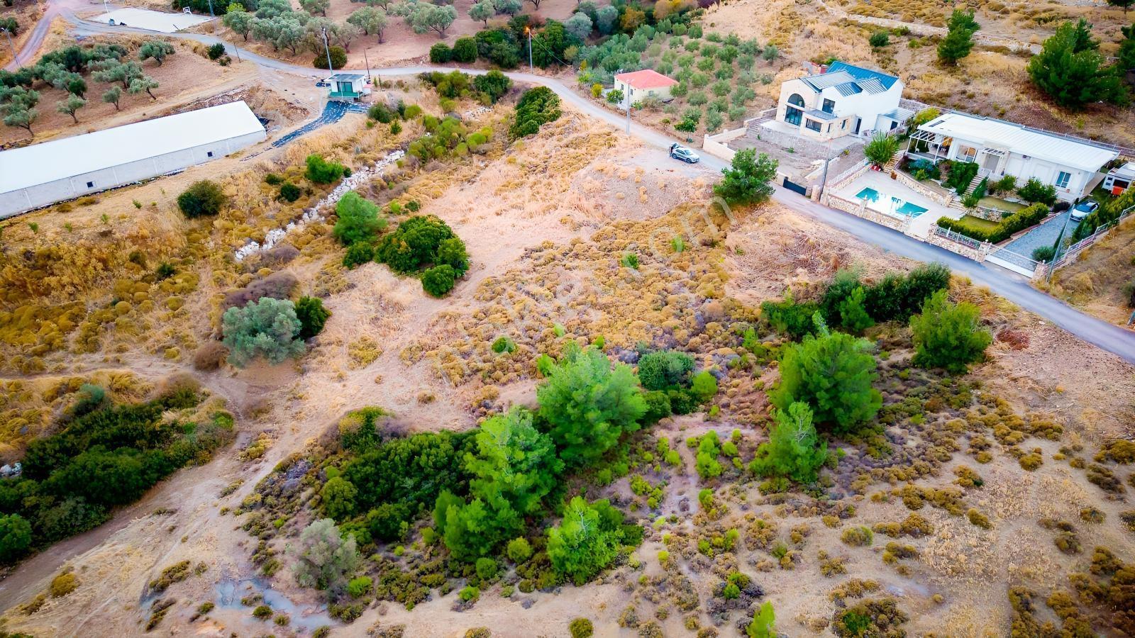 Foça Kocamehmetler'de Müstakil Tapulu Yola Cepheli Satılık Tarla — fotoğraf 20