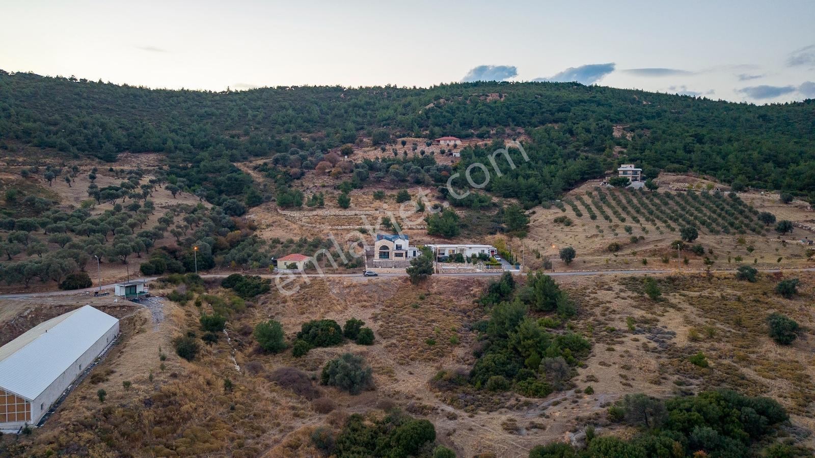 Foça Kocamehmetler'de Müstakil Tapulu Yola Cepheli Satılık Tarla — fotoğraf 23
