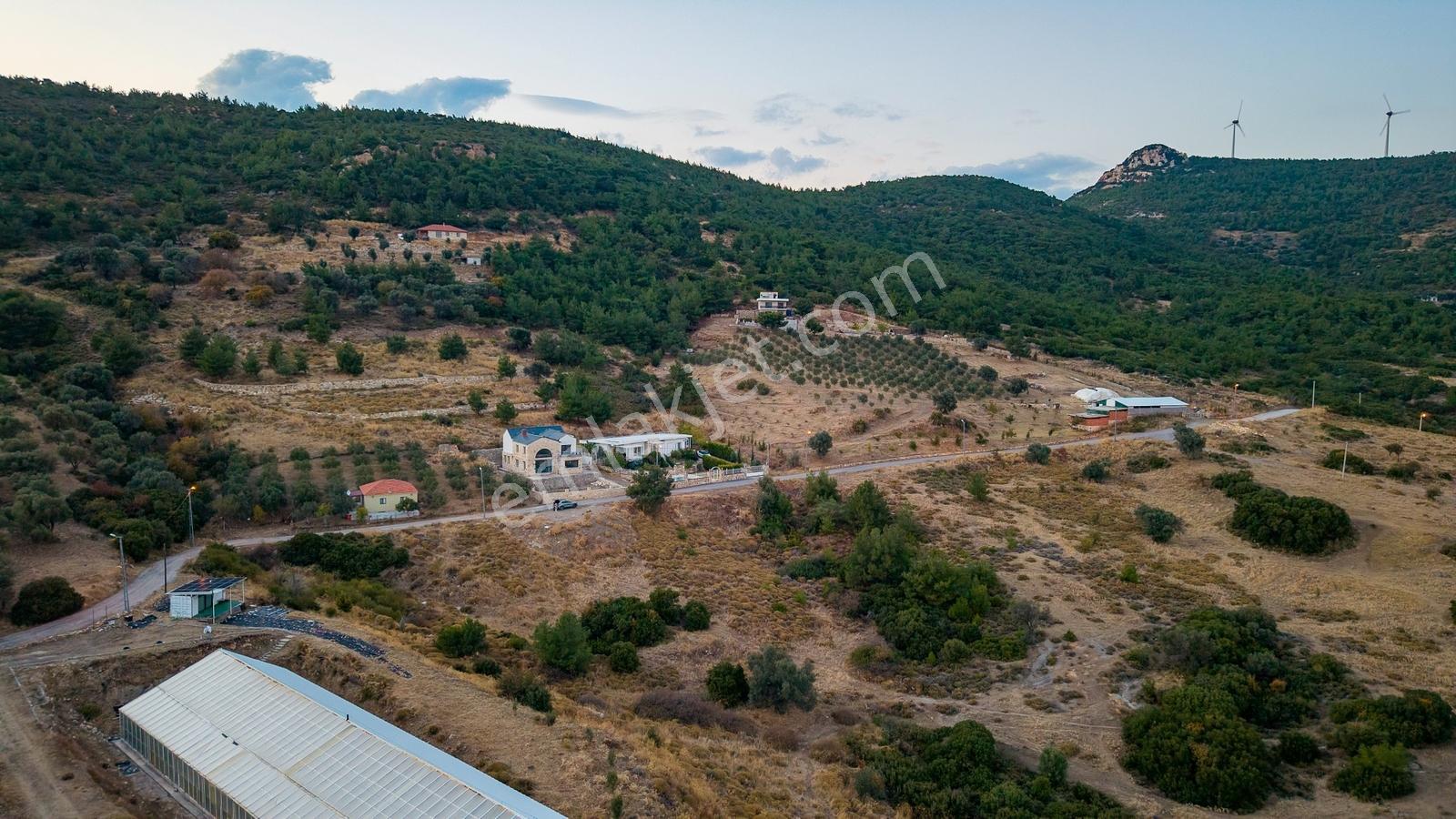 Foça Kocamehmetler'de Müstakil Tapulu Yola Cepheli Satılık Tarla — fotoğraf 25