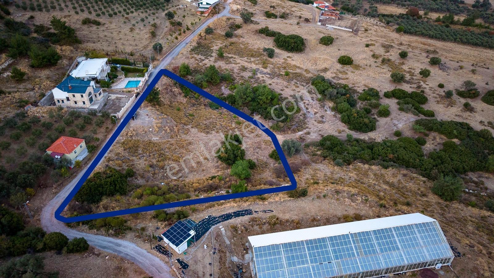 Foça Kocamehmetler'de Müstakil Tapulu Yola Cepheli Satılık Tarla — fotoğraf 28