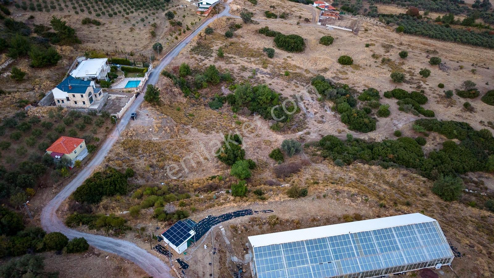 Foça Kocamehmetler'de Müstakil Tapulu Yola Cepheli Satılık Tarla — fotoğraf 29