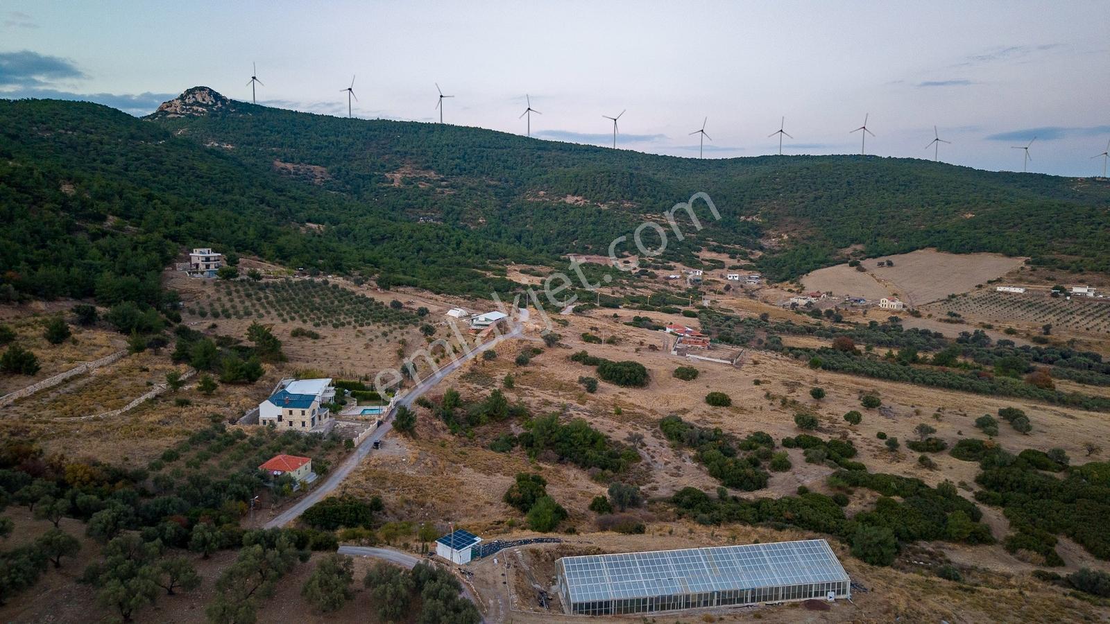 Foça Kocamehmetler'de Müstakil Tapulu Yola Cepheli Satılık Tarla — fotoğraf 31