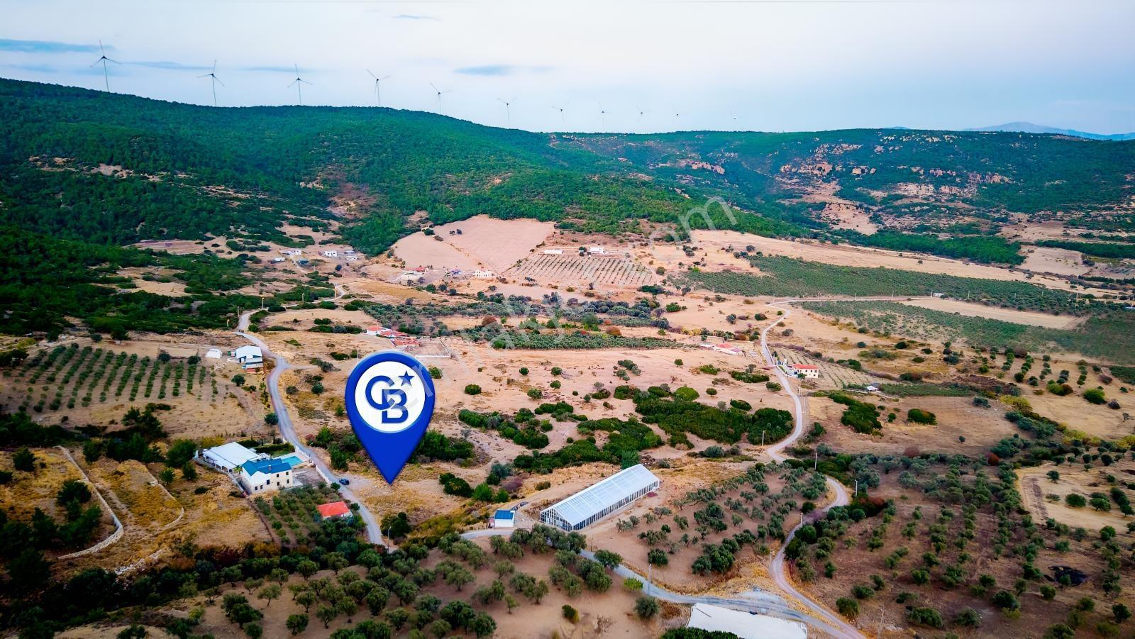 Foça Kocamehmetler'de Müstakil Tapulu Yola Cepheli Satılık Tarla — fotoğraf 32