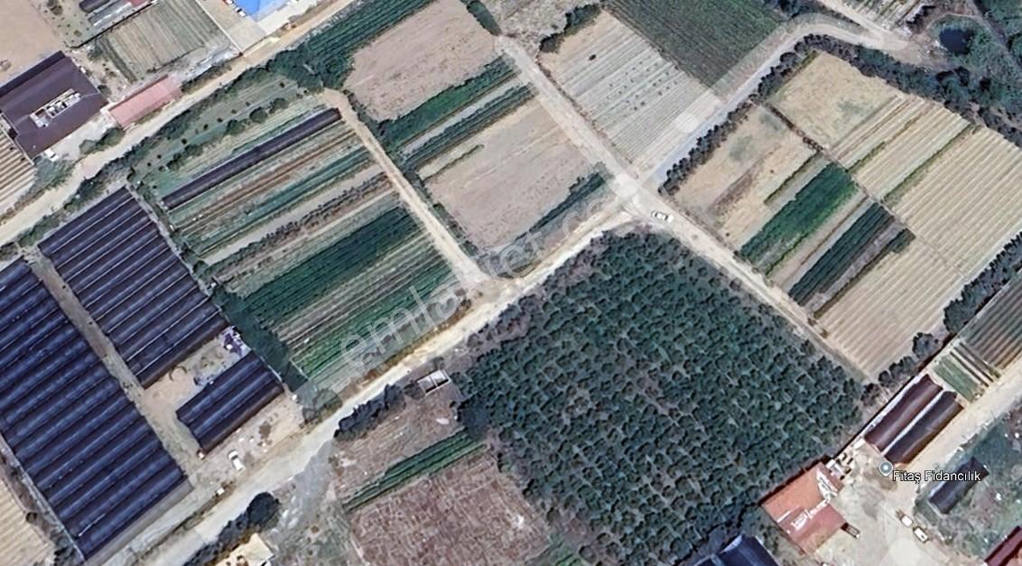 Thor'dan Hatay Samandağ Fidanlı Mahallesinde Satılık Parsel — fotoğraf 4