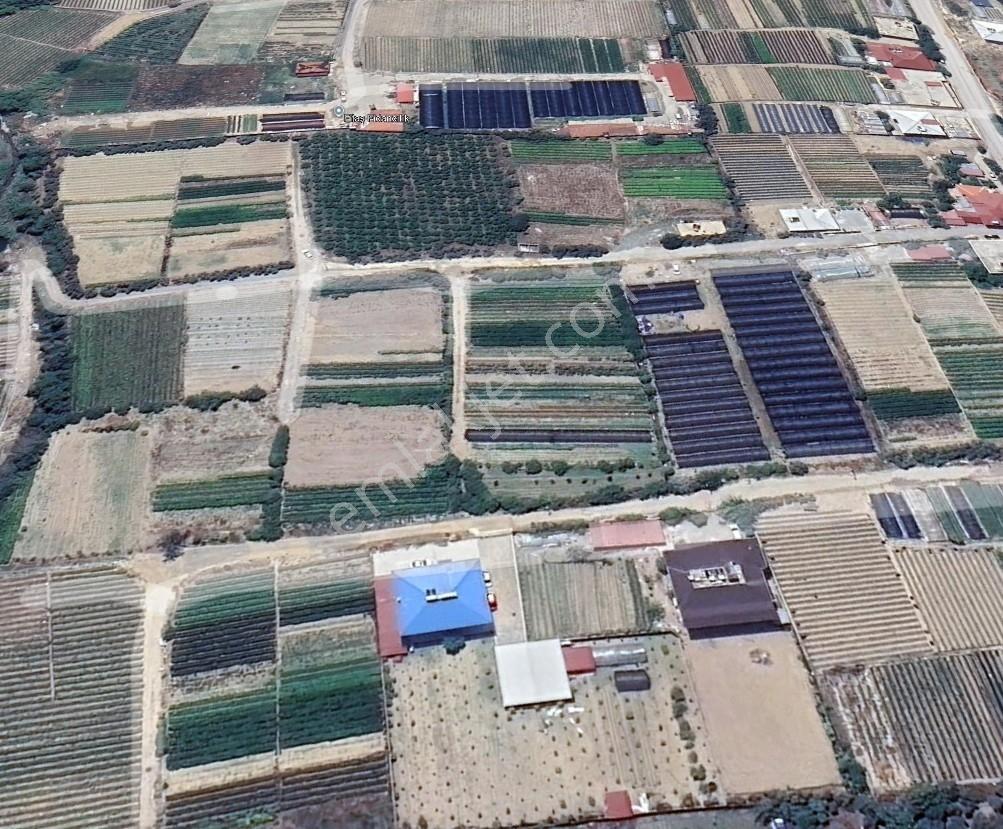 Thor'dan Hatay Samandağ Fidanlı Mahallesinde Satılık Parsel — fotoğraf 5