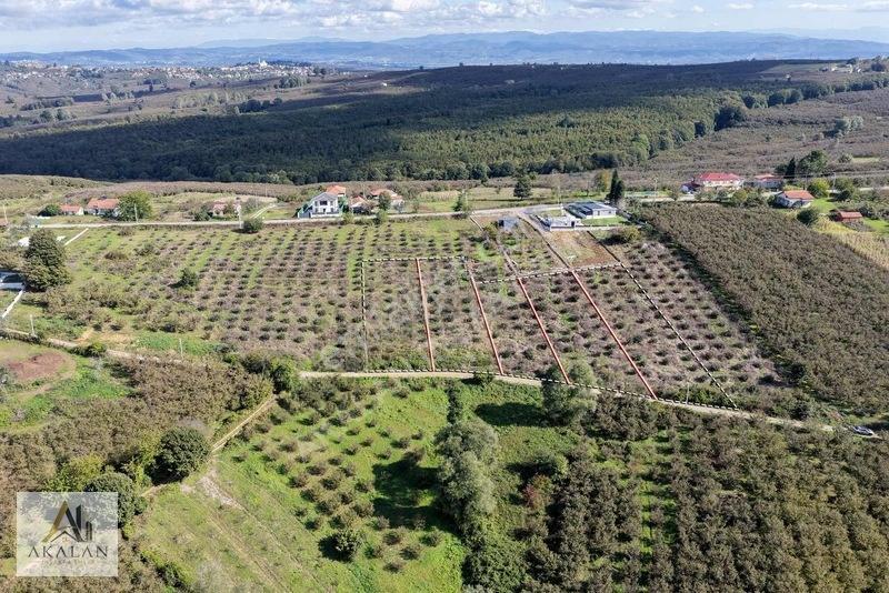 Ceylandere'De Bitişik Konum 5 Ayrı Müstakil Tapulu Marlı Arsalar