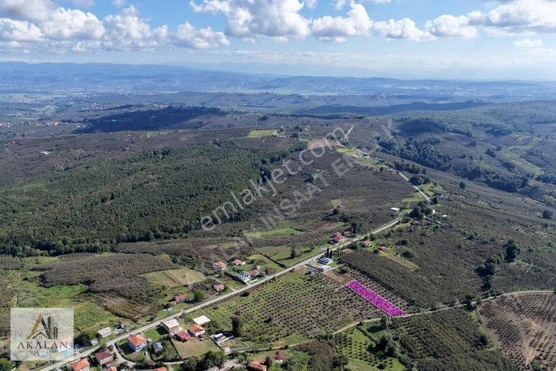Ceylandere'de Bitişik Konum 5 Ayrı Müstakil Tapulu Marlı Arsalar — fotoğraf 2
